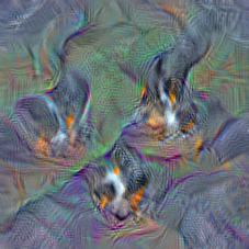 n02107683